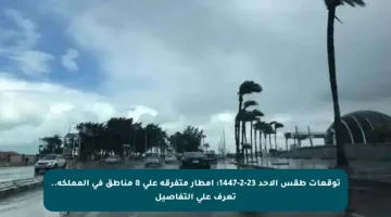 توقعات طقس الأحد 23-2-1447: أمطار متفرقة على 8 مناطق في المملكة.. تعرف على التفاصيل